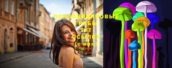 винт Алексеевка