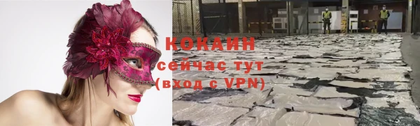шишки Армянск