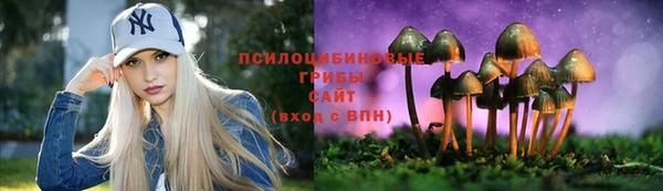 сатива Алзамай