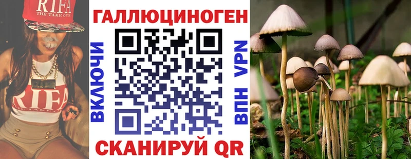 Псилоцибиновые грибы GOLDEN TEACHER  Калининск 